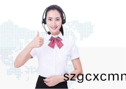 普賽特服務優勢 普賽特(te)服務優(you)勢